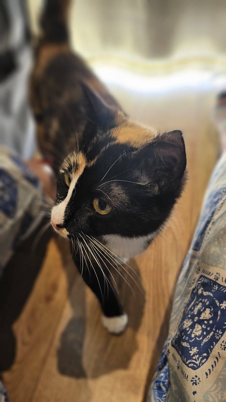 Kiki