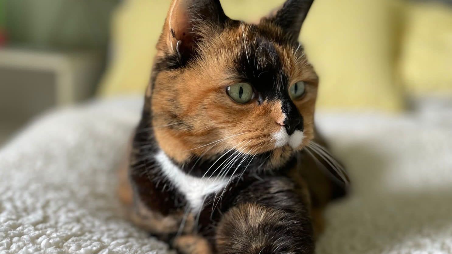 Fostering
