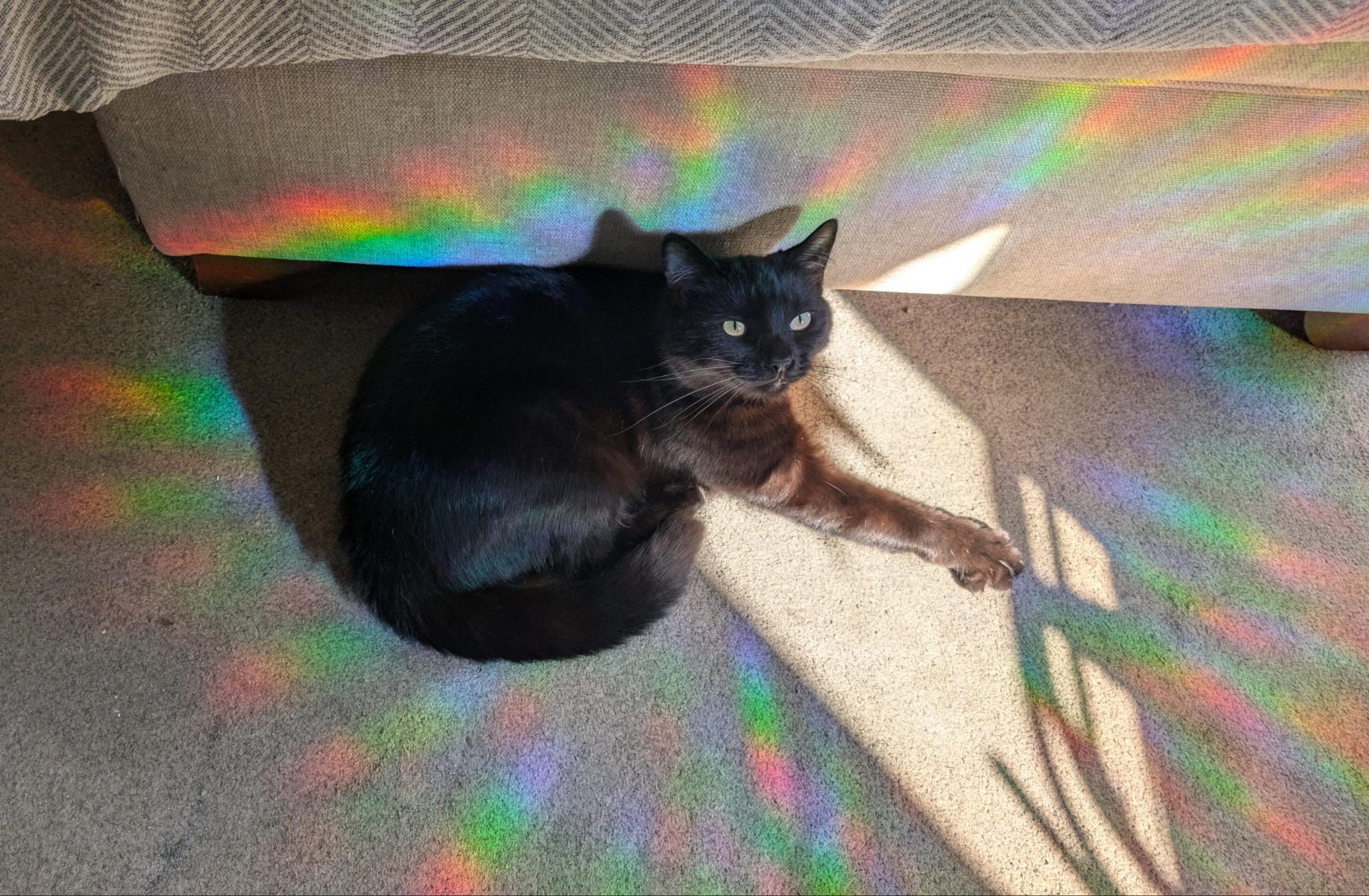 Mimi