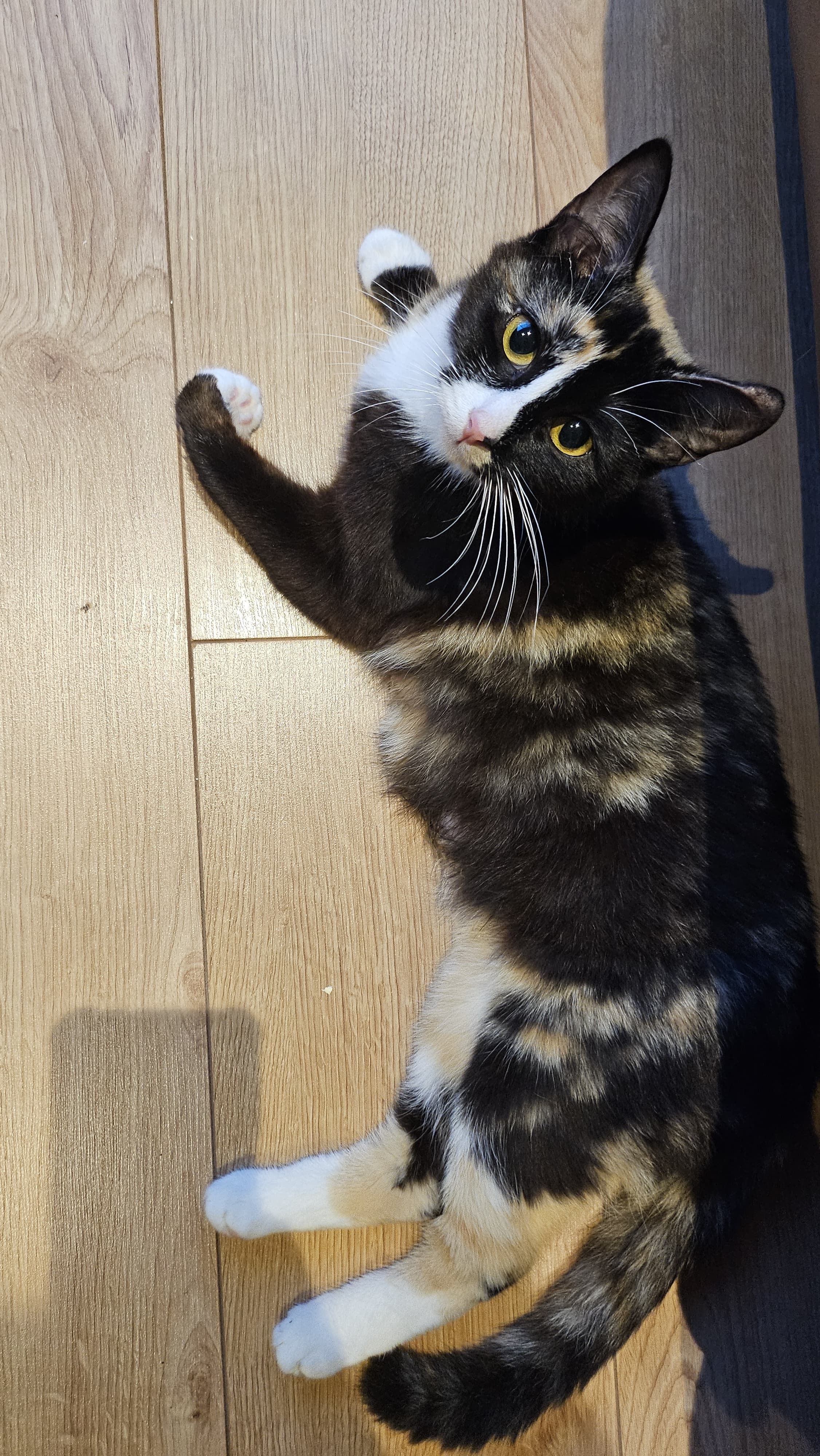 Kiki