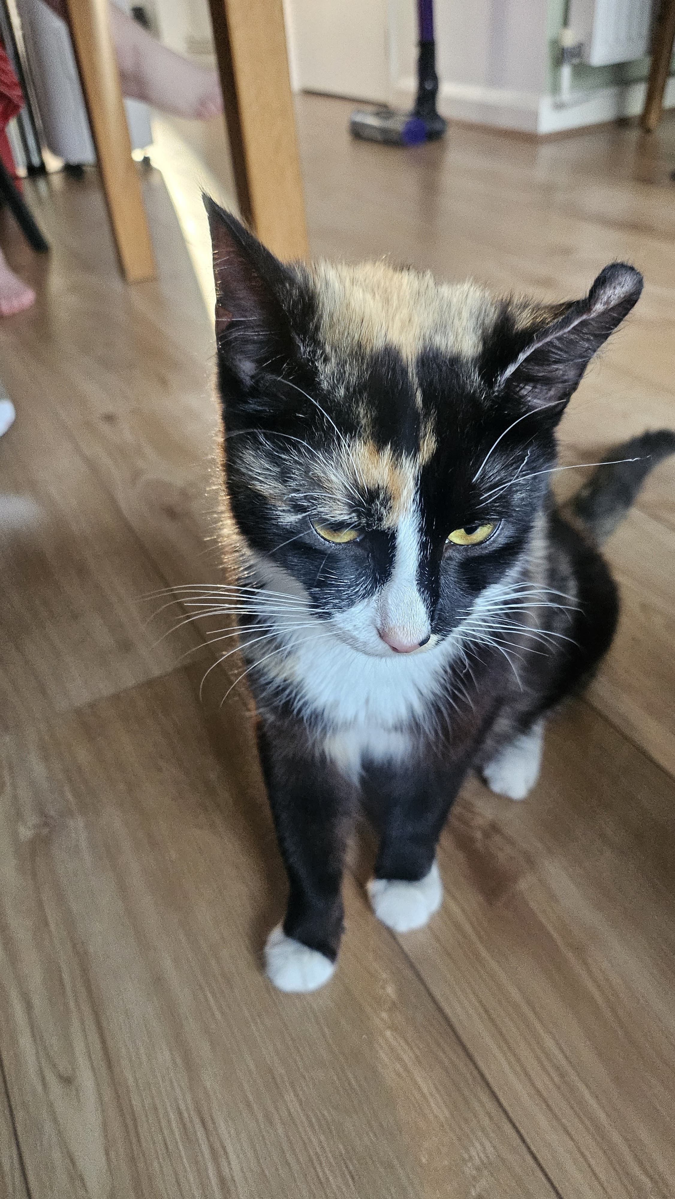 Kiki