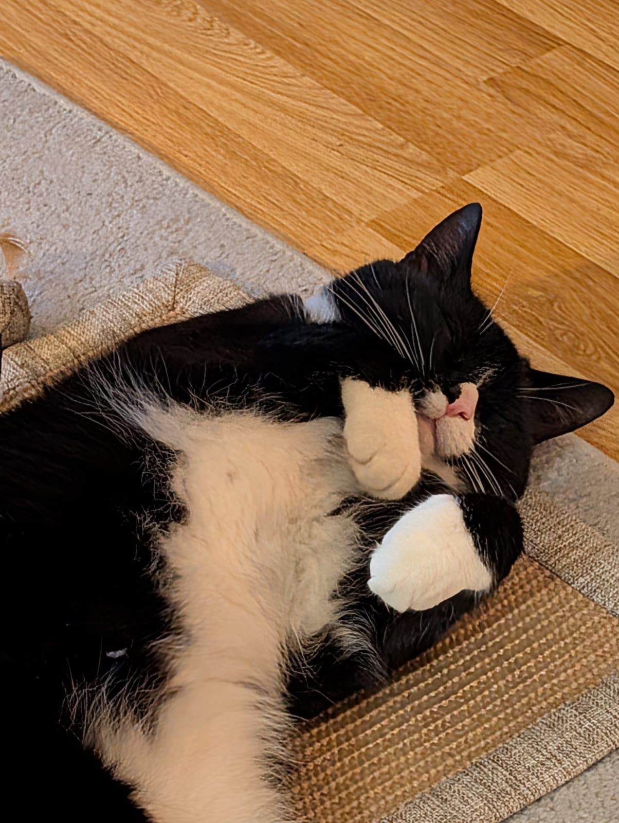 Dave