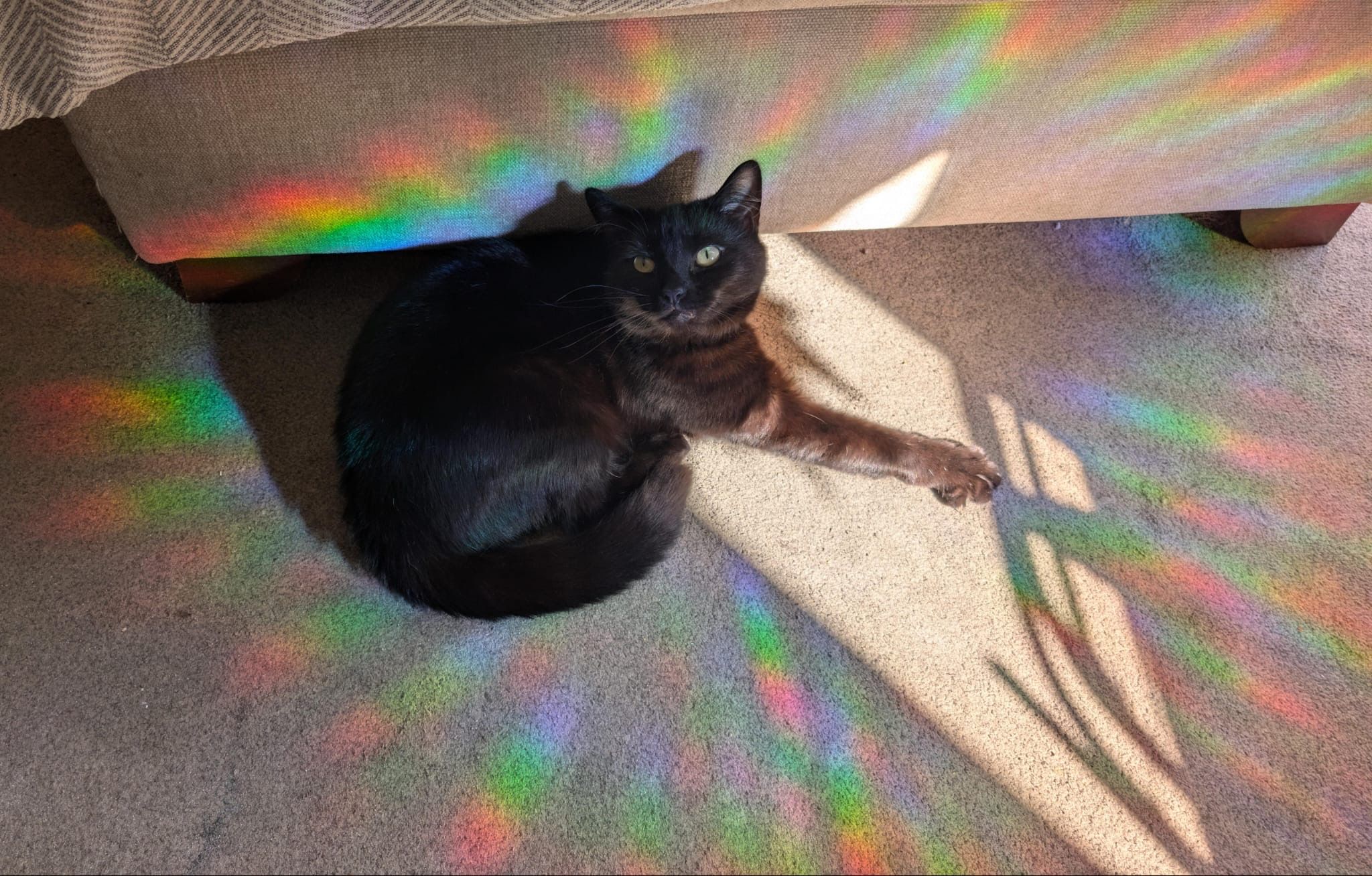 Mimi